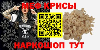 гашик Кингисепп