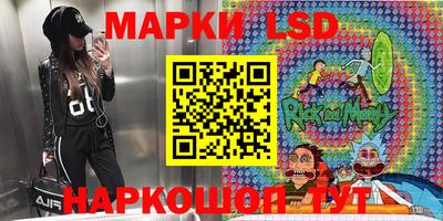 гашик Кингисепп
