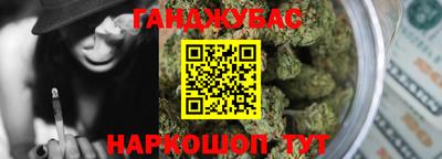 гашик Кингисепп