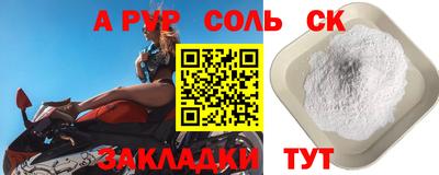 гашик Кингисепп