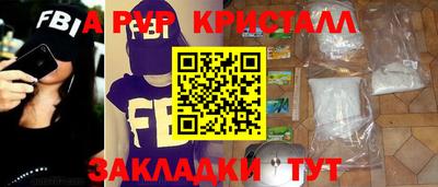 гашик Кингисепп