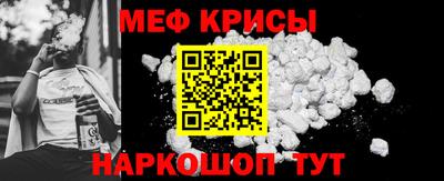 гашик Кингисепп