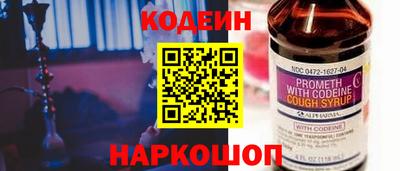 гашик Кингисепп
